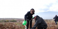 İnegöl 'Yeşil Vatan' Seferberliğine Ortak Oldu: 11.11'de Binlerce Fidan Toprakla Buluştu