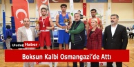 Osmangazi Belediyesi'nden Cumhuriyet Coşkusu: Marmara Bölgesi Boks Turnuvası'nda 350 Sporcu Ringdeydi