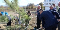 İnegöllü Gençlerden Örnek Davranış: Zirve Grup, Yangınlara Karşı Kendi Aldıkları 32 Fidanı Toprakla Buluşturdu