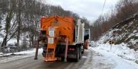Nilüfer'de Kar Seferberliği: Yüksek Kesimlerde Yollar Hızla Açıldı!
