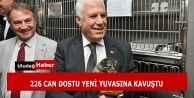 Bursa Büyükşehir'den Can Dostlara Şefkat Eli: 2025 Yılında Binlerce Sokak Hayvanına Umut Oldu!