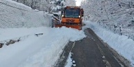 Osmangazi'de Kar Seferberliği: 12 Mahallede Ulaşım Güven Altında!