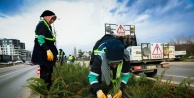Bursa'nın Bulvarları Çiçek Açıyor: Büyükşehir'den Kente Estetik Dokunuş!