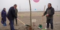 İznik'te Geleceğe Nefes: Bursa'nın Fethi'nin 700. Yılı Anısına Fidanlar Toprakla Buluştu!