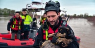 Karacabey'de Can Dostlarımıza Hayat Öpücüğü: 'Cesur' ve 'Zeytin' Sel sularından Kurtarıldı!