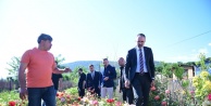 Kestel'den Dünya Pazarına Süs Bitkisi Hamlesi: Başkan Ferhat Erol'dan Üreticiye Tam Destek!