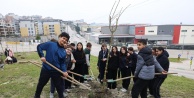 Nilüfer'de Gelecek Yeşeriyor: Minik Eller Orman Haftası'nda Fidanları Toprakla Buluşturdu!