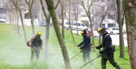 Osmangazi'de Bahar Temizliği: Yabani Ot Mücadelesiyle Parklar Nefes Alıyor!