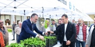 Kestel'de Dev Tarım Hamlesi: Ahududu Üretiminde Dünya Markası Olma Yolunda 6 Bin Fidan Toprakla Buluşuyor