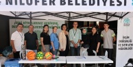 Nilüfer Belediyesi ödüllü atık kağıt toplama kampanyası başlattı