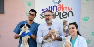 Kestel Belediyesi'nin dijital sahiplendirme platformu can dostlara sıcak yuva oluyor
