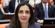 YENİ Partili Kayışoğlu, Bursalı şeftali üreticisinin isyanını Meclis'e taşıdı