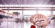 TÜİK 2025 beyin göçü verilerini açıkladı: Yükseköğretim mezunlarının ilk tercihi Almanya oldu