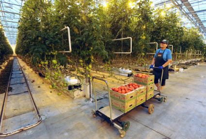 Türkiye'ye Ambargo!