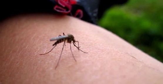 Virüs Havayolları Şirketlerini Harekete Geçirdi!