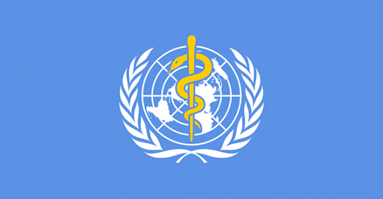 ZİKA VİRÜSÜ Hakkında Açıklama!